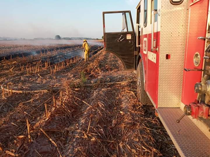 bomberos, incendio, maiz, los mochis