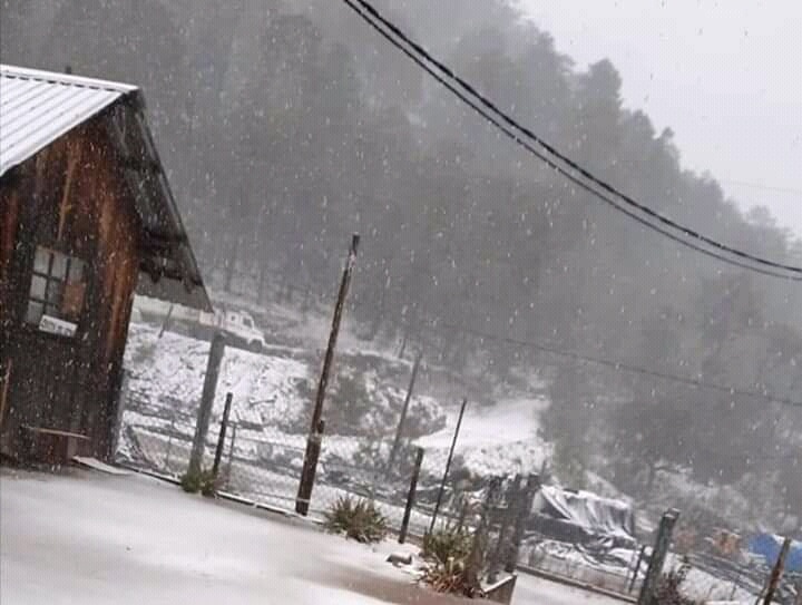 nieve