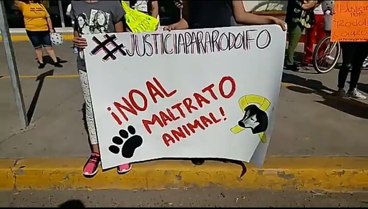Rodolfo