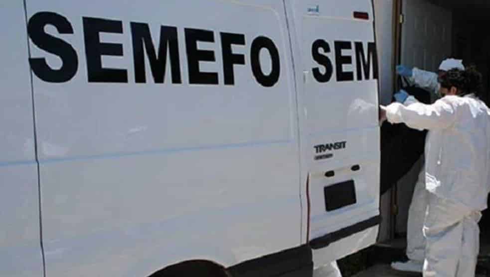 sonorense