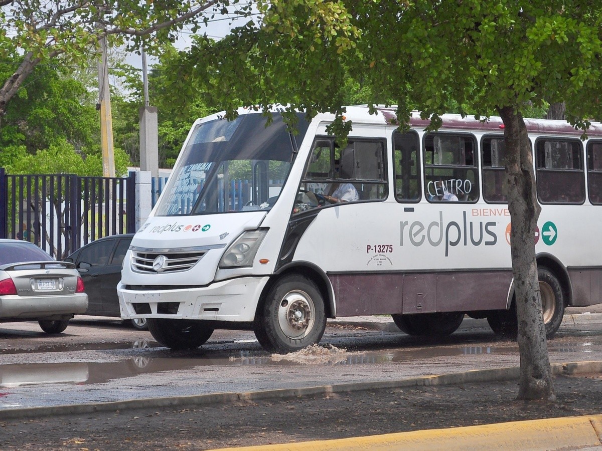 aplicación, GPS, transporte