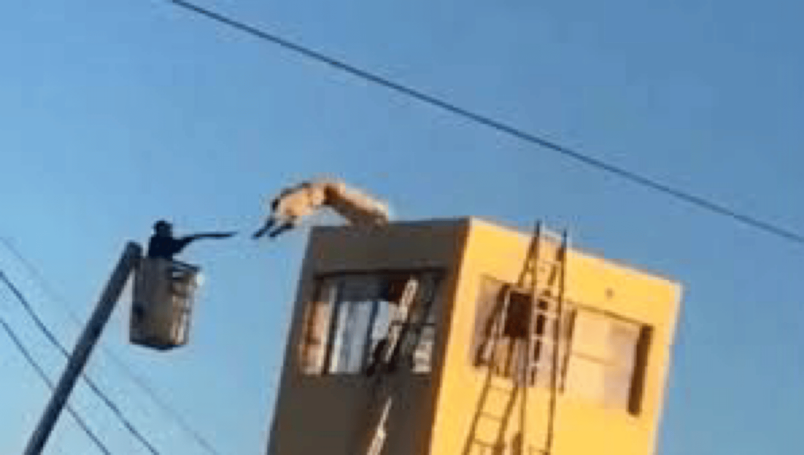 Un reo se lanzó al vacío en el CERESO de Agua prieta Sonora