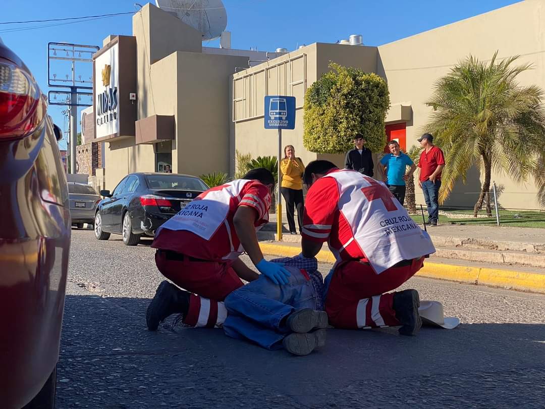 Adulto, atropellado, Guamúchil