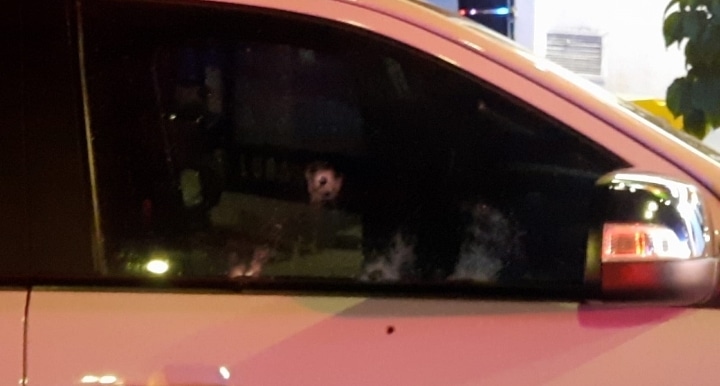 Culiacán, Guardia Nacional, Sector salud