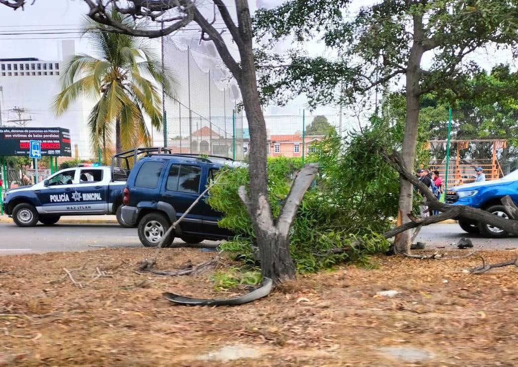 accidente, Choque, Mazatlán, Parque Central