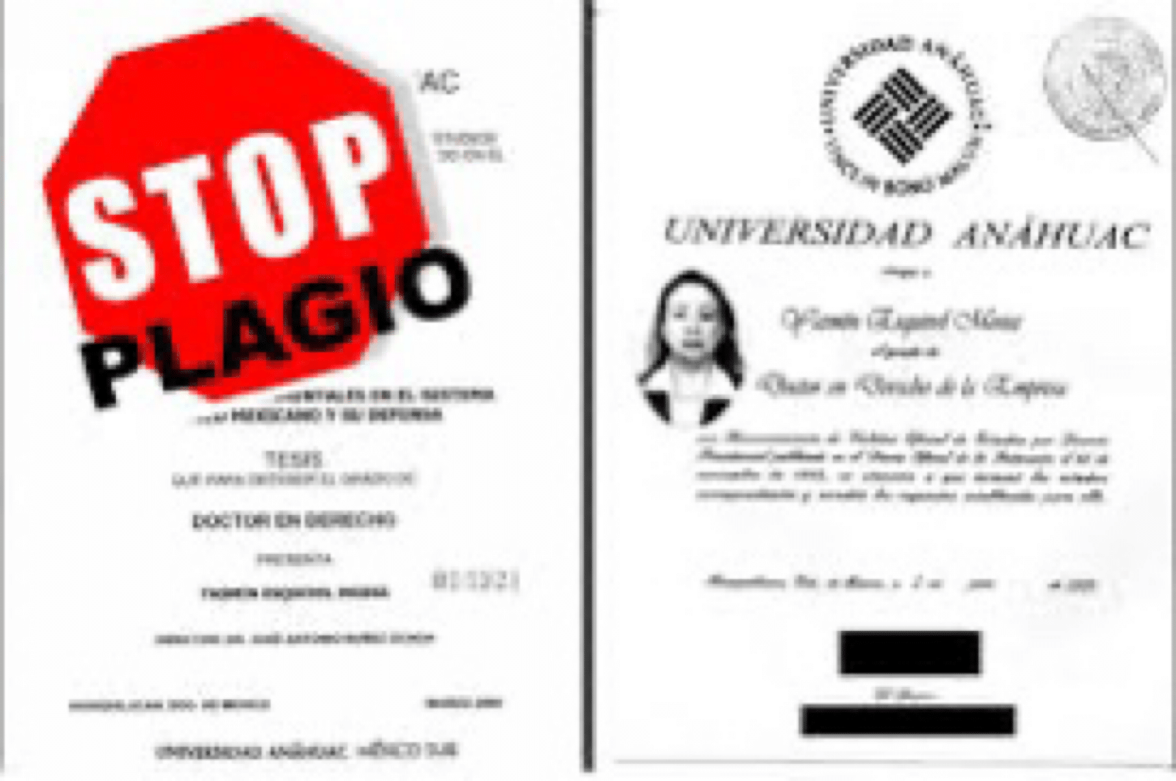 plagio, Tesis doctorado, Yasmin Esquivel