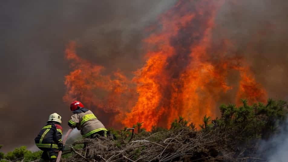 Chile, Incendio Forestal