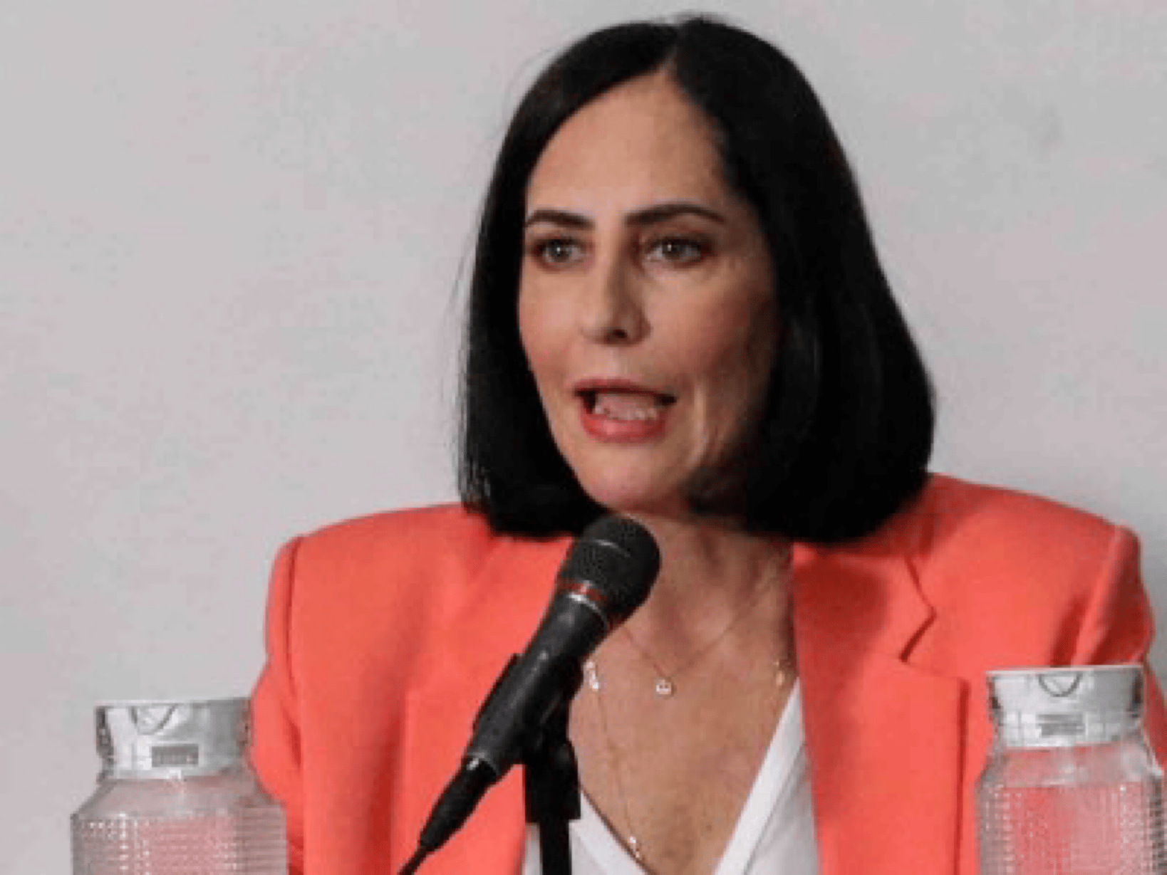 denuncia, Layda Sansores, Lía Limón