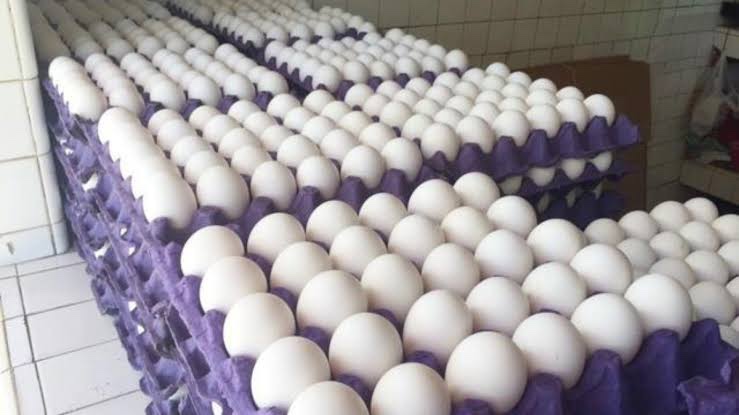 Cartera Huevo, Huevo