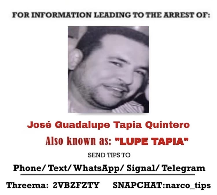 Lupe Tapia, Mayo Zambado, Operativo Culiacán