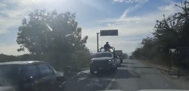 Lupe Tapia, Operativo Culiacán, Tacuichamona