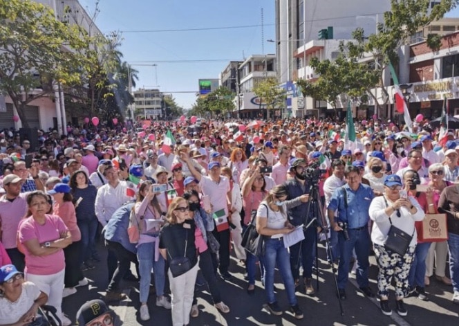 Culiacán, plan B, Reforma electoral