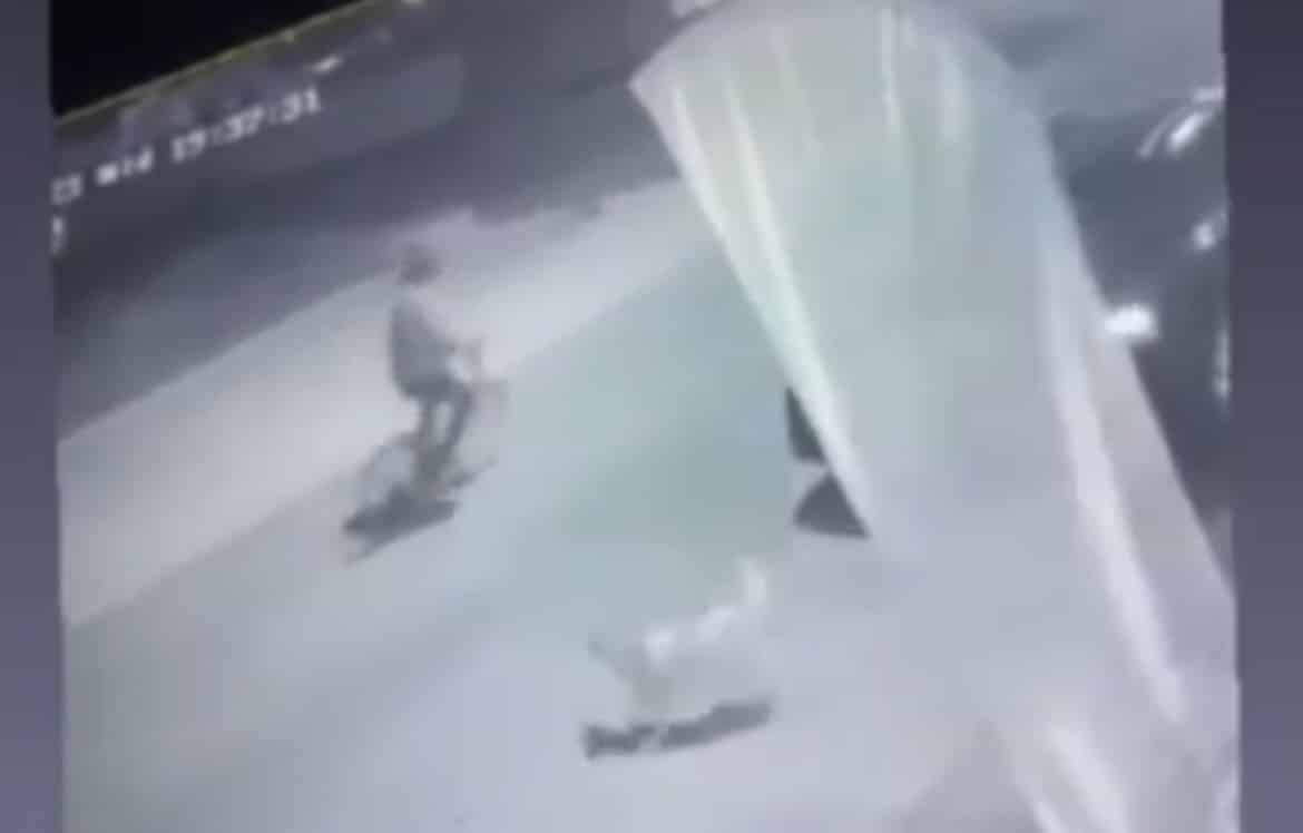 Los Mochis, maltrato animal