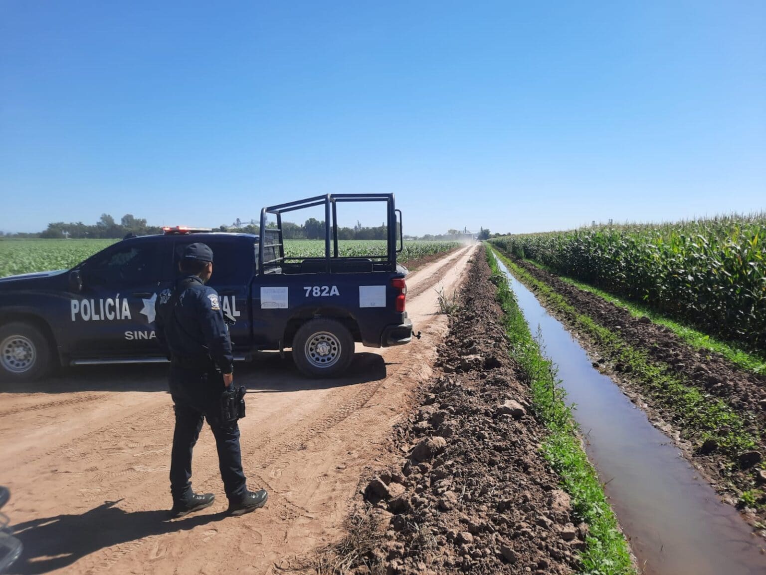 joven, Muerto, Sinaloa