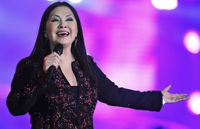 Ana Gabriel, Concierto, música, Sinaloa