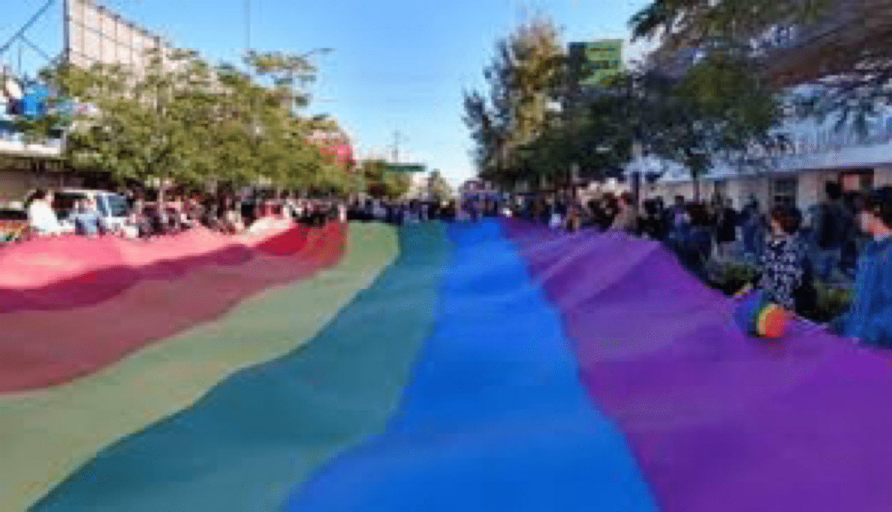 comunidad, Los Mochis, Marcha, Violeta