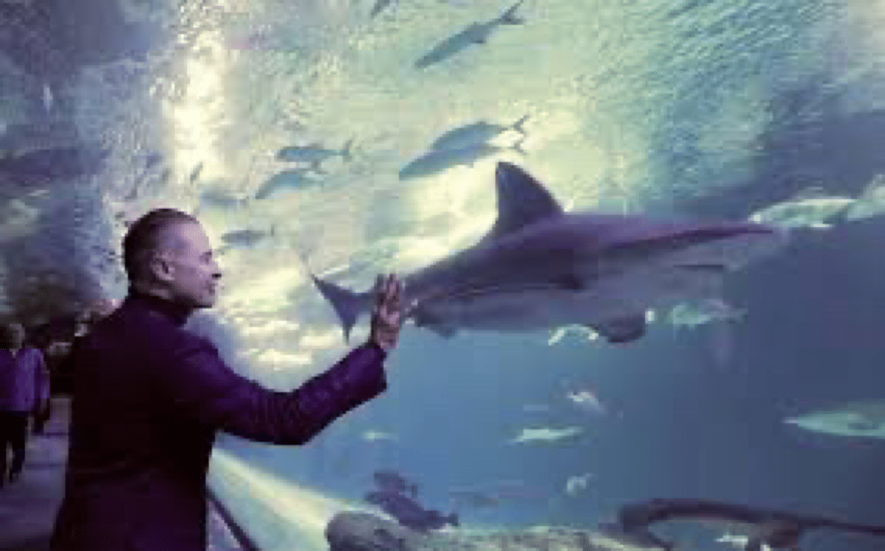 acuario, Mazatlán, quirino ordaz