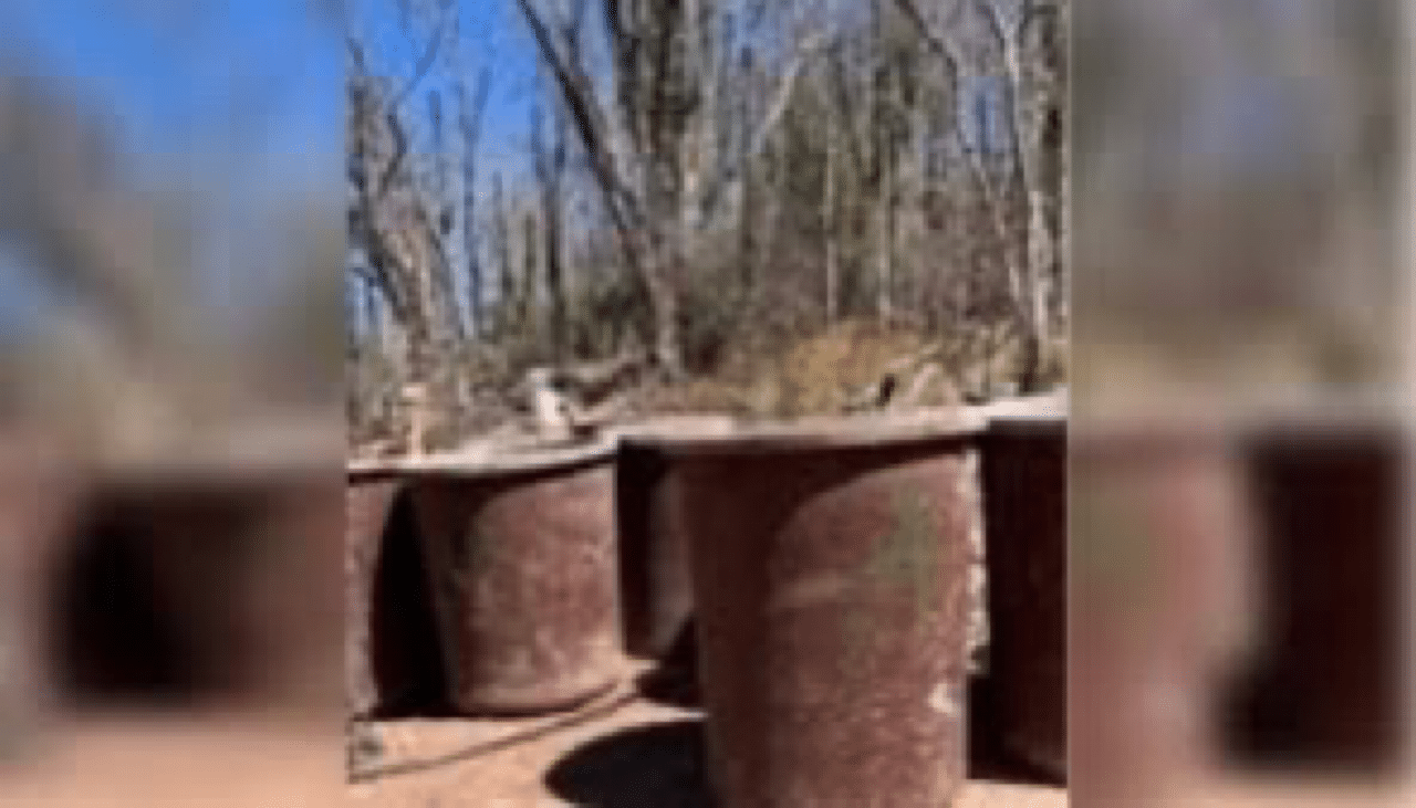 Culiacán, narcolaboratorio, Sanalona