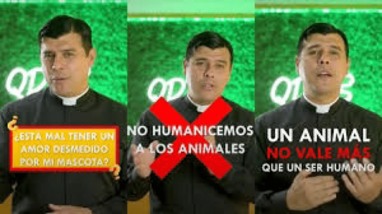 Sacerdote pide no humanizar animales