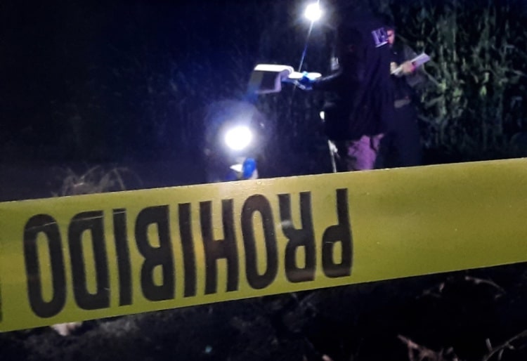 Campo agrícola, Canalazo, Culiacán