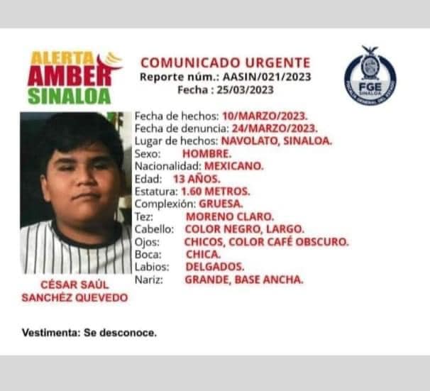 desaparecido, Navolato