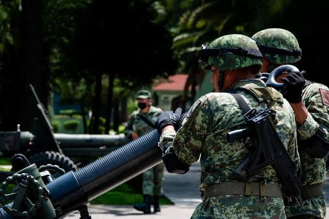 Guacamaya Leaks, SEDENA