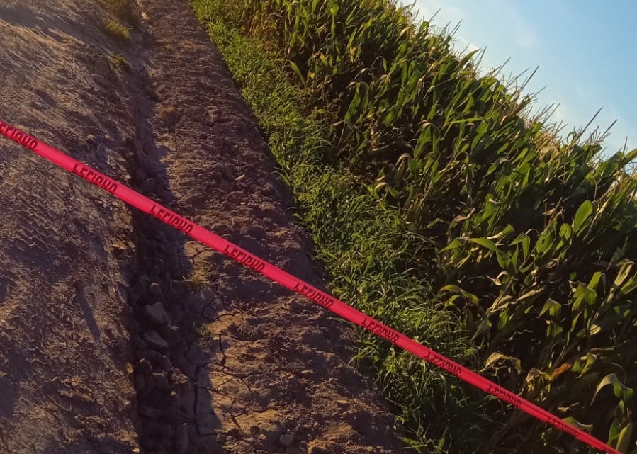 ahome, Hombre, Muerto