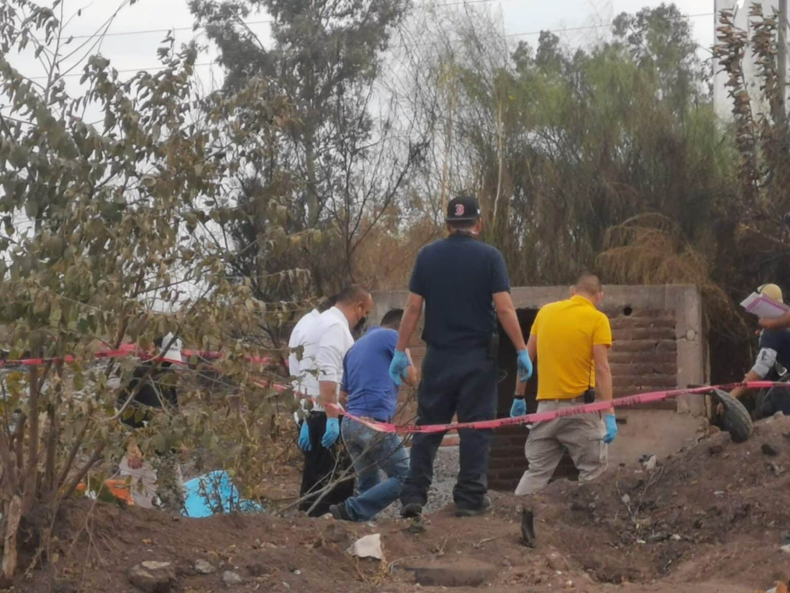 ahome, Hombre, México 15, Muerto, trabajadores agrícolas
