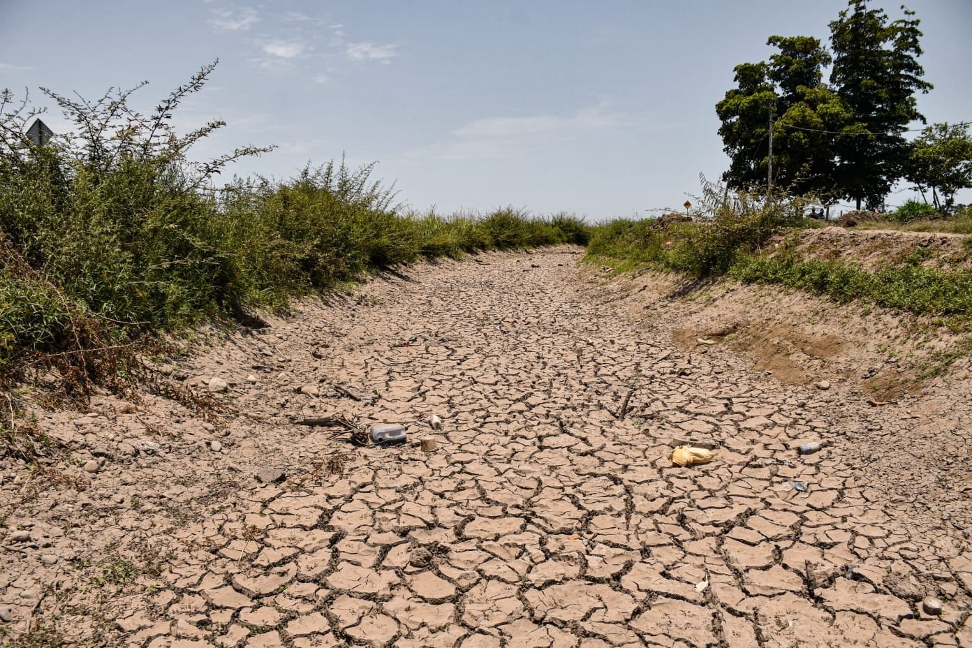 elota, sequía, Sinaloa