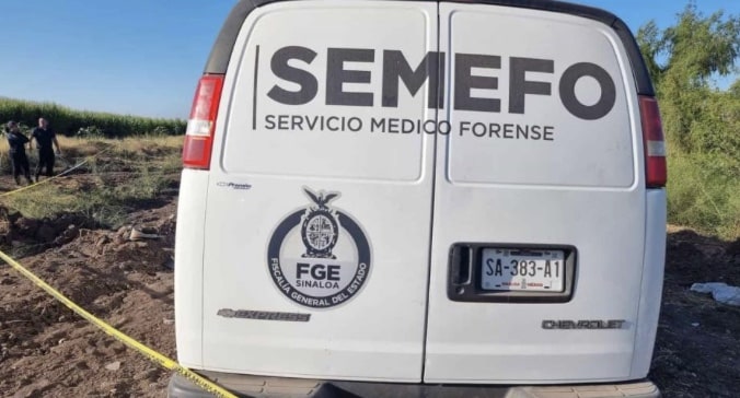 arrollado, Costa Rica, Tren