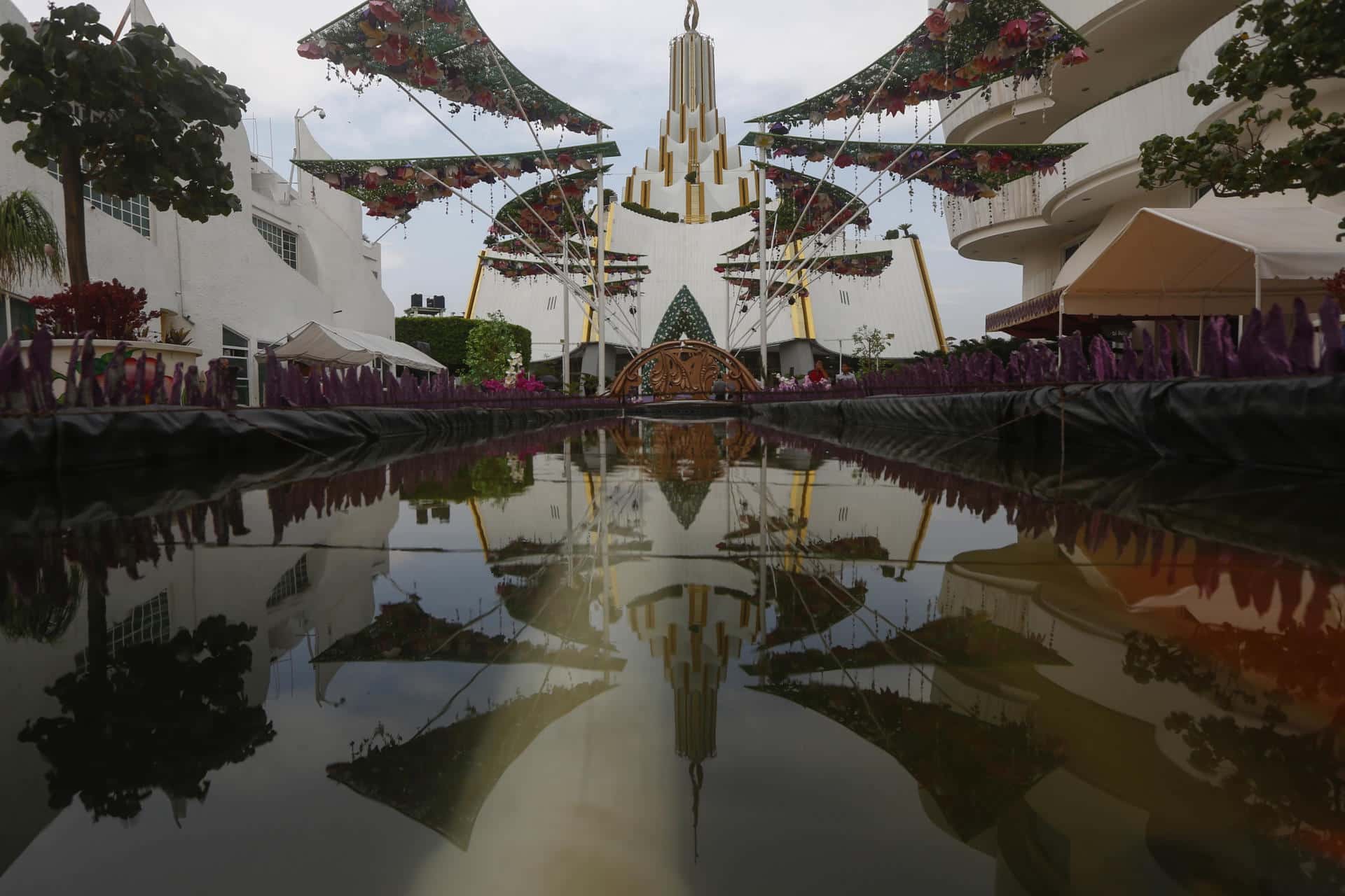 INE, Luz del mundo, partido político