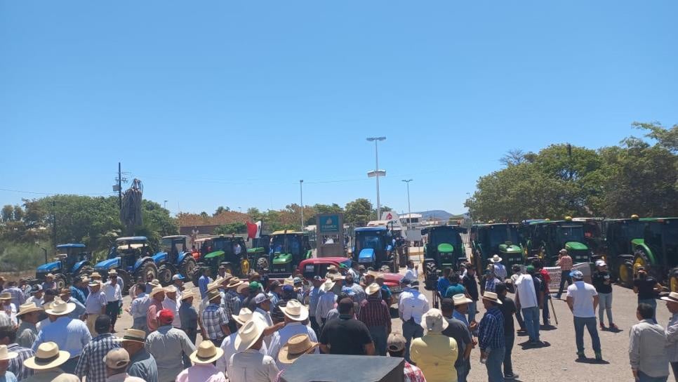 agrícolas, Guamúchil, Productores