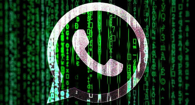 Elon musk, google, WhatsApp espía