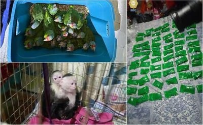 Iztapalapa, Operativo, rescate especies