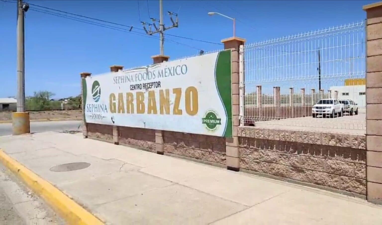 garbanzo, Productores, Sephina Foods, Sinaloa