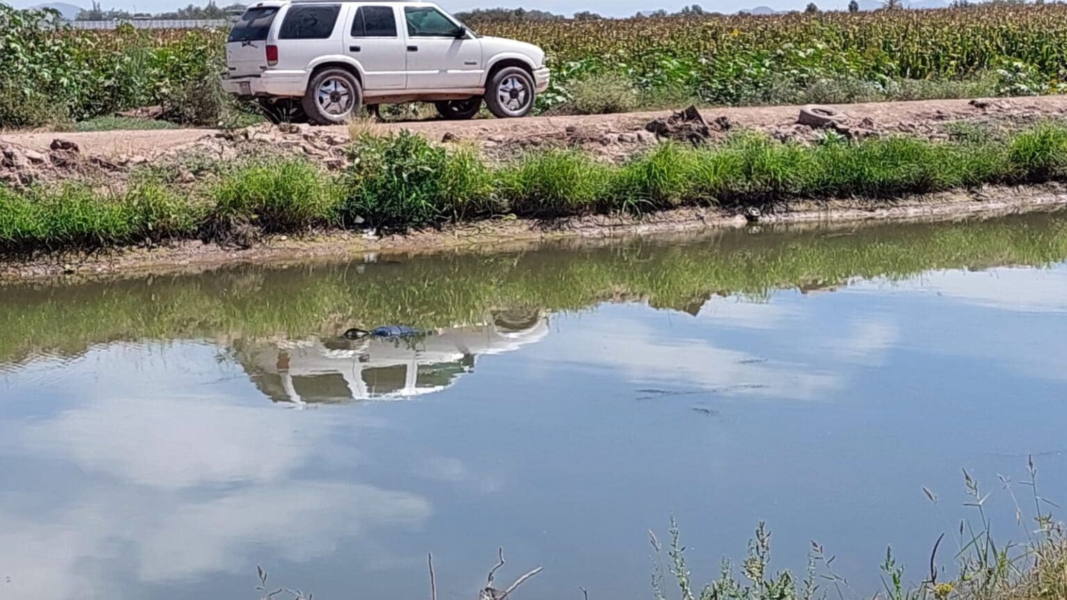 ahome, canal, goros, Hombre