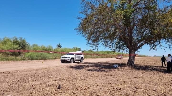 cuerpos, Los Mochis, Sin Vida