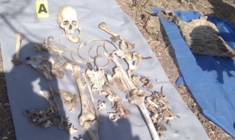 Escuinapa, hallazgo, Osamenta Humana