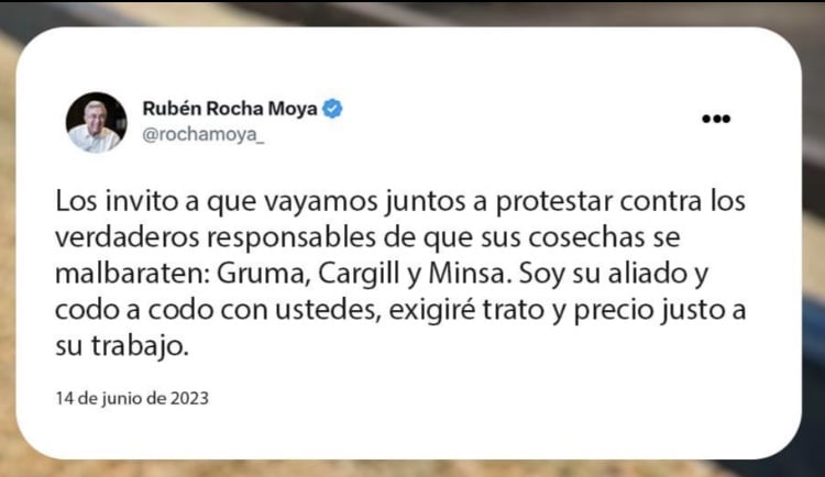 grano, Productores Maíz, Sinaloa