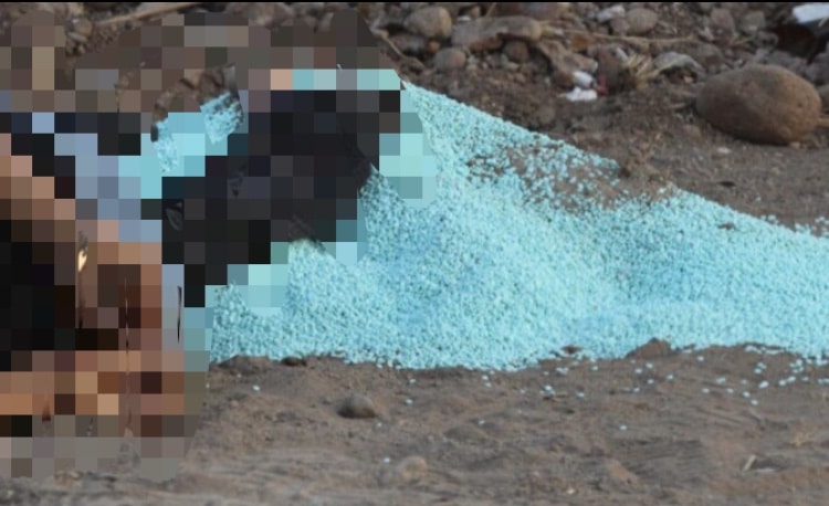 Culiacán, Fentanilo