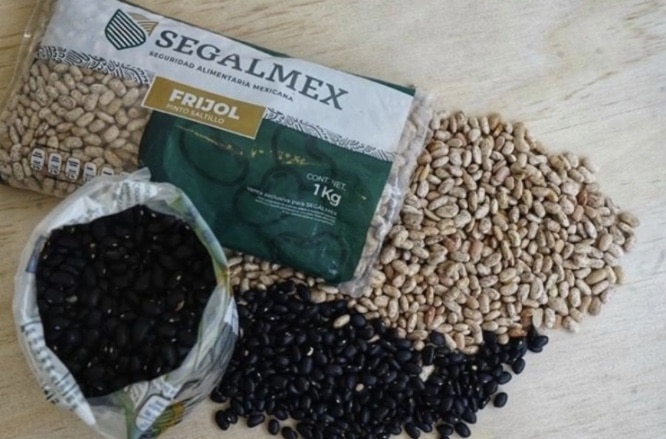 Fraude Segalmex, Segalmex