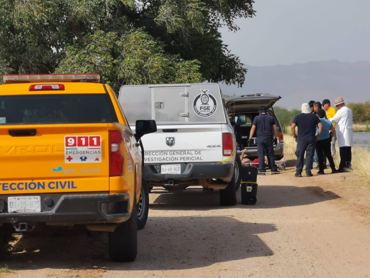 Ahogado, ahome, familia