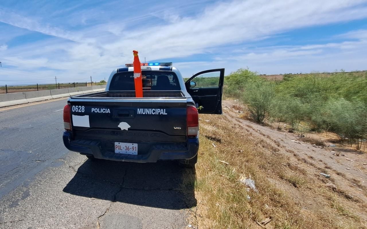 Asalto, Guasave, Robó