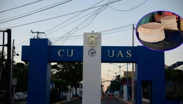 Sinaloa, tortillas, UAS