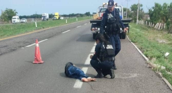 arrollado, carretera, Culiacán