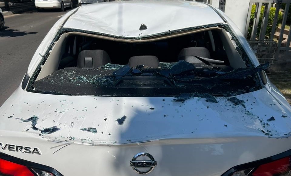 Culiacán, palmera, vehículo