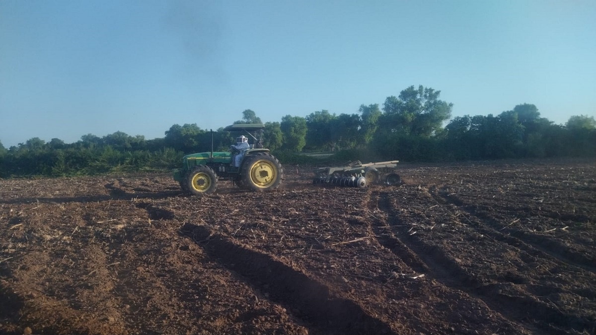 abejas, ahome, ataque, heridos