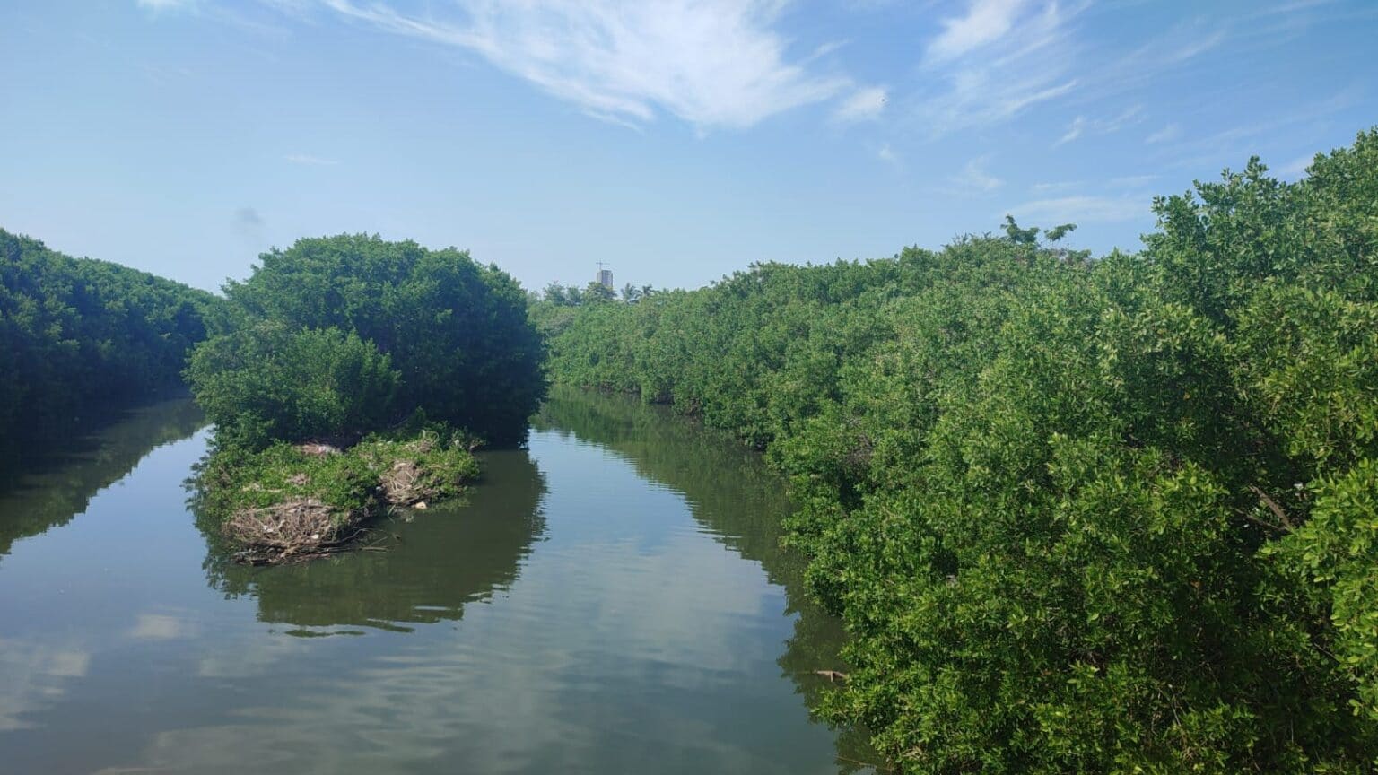 Cuerpo, Mazatlán, Muerto