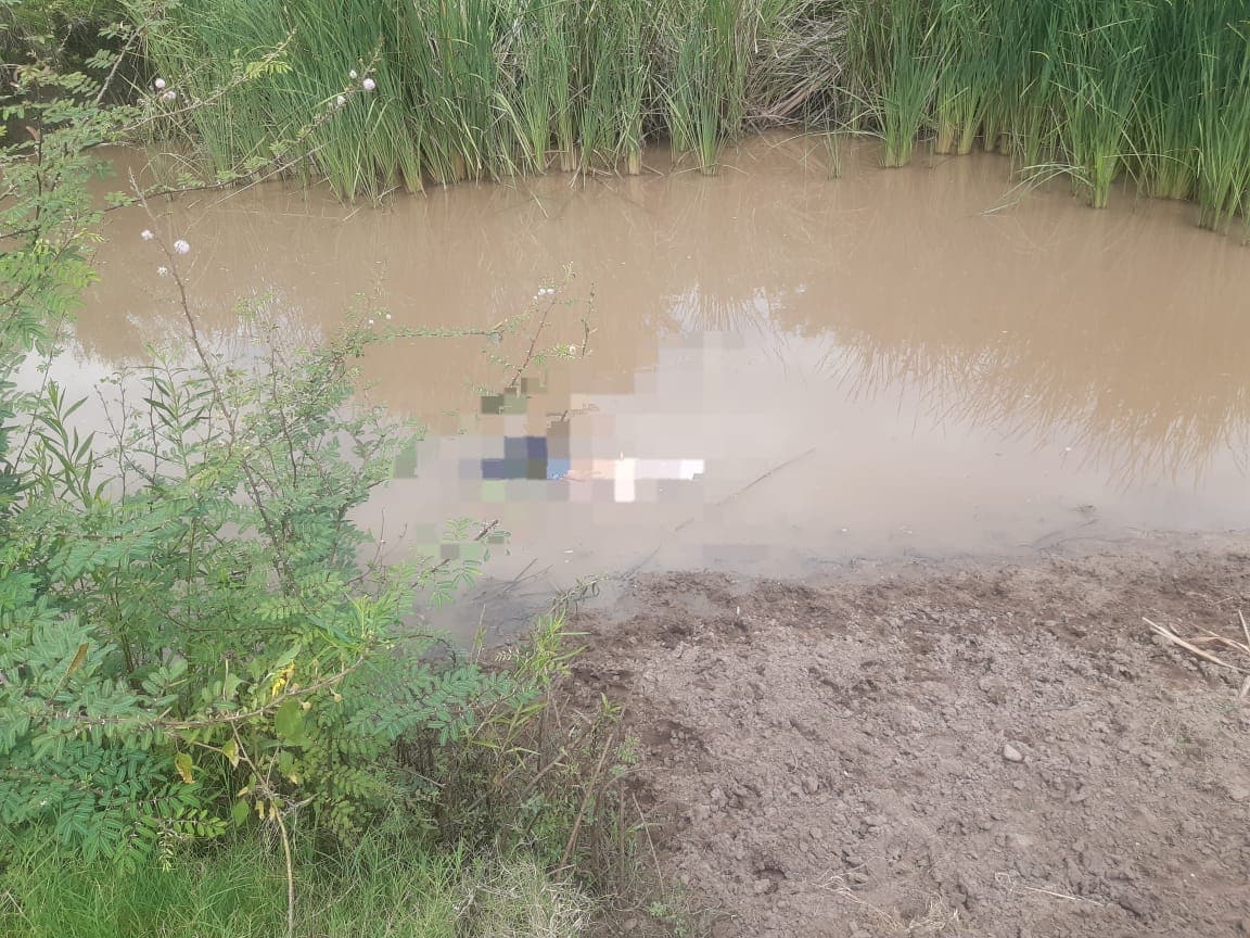 abejas, adulto mayor, Guasave