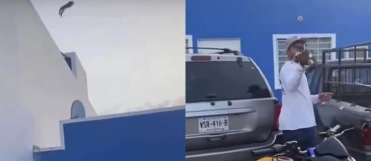 El Charly, hotdogs, Mazatlán